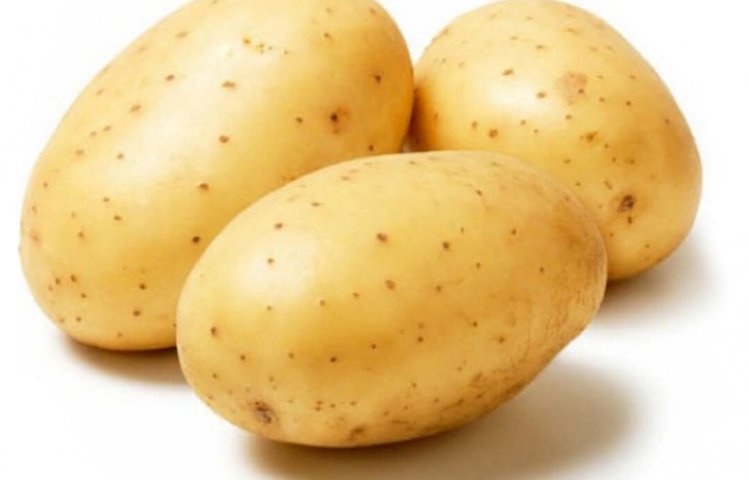 Картофель гала