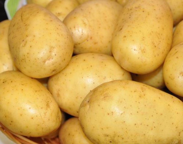 Картофель Королева Анна