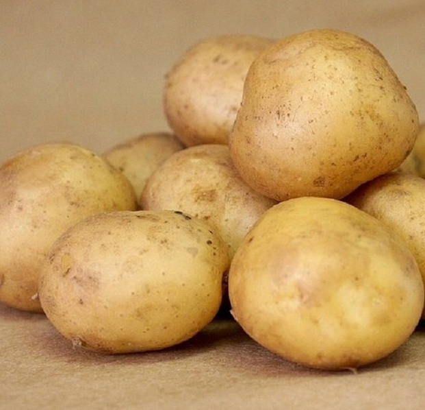 Сорта картофеля кроне фото и описание
